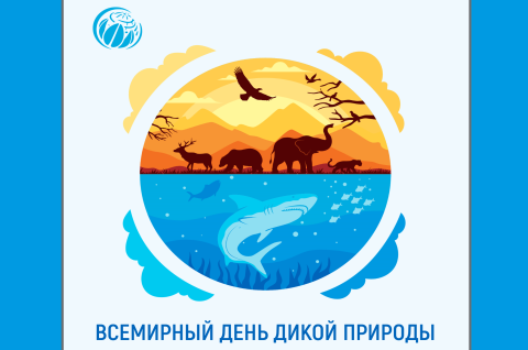 В ЦАРСТВЕ ФЛОРЫ И ФАУНЫ