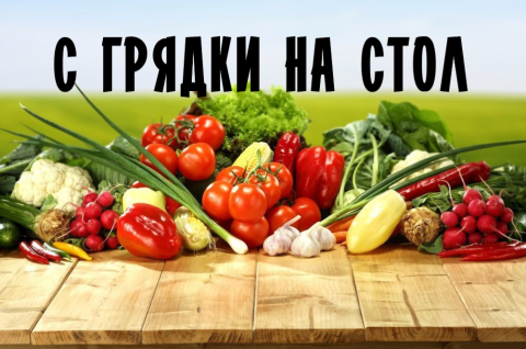 С ГРЯДКИ НА СТОЛ